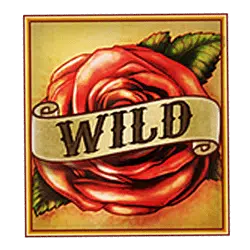 Folsom Prison - wild