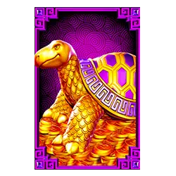 5 lions megaways - turtle