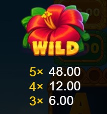 hawaii riches - wild symbol