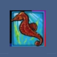 Seahorse