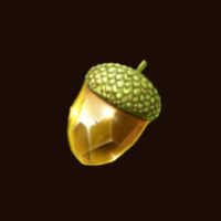 acorn