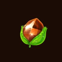 hazelnut