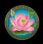 Asian Beauty Lotus