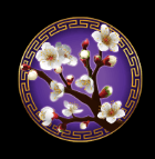 Asian Beauty White Sakura