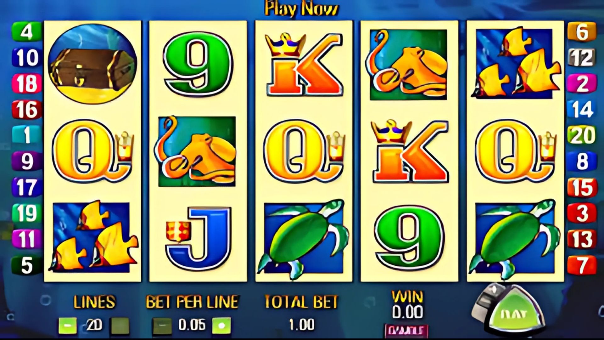 Dolphin Treasure